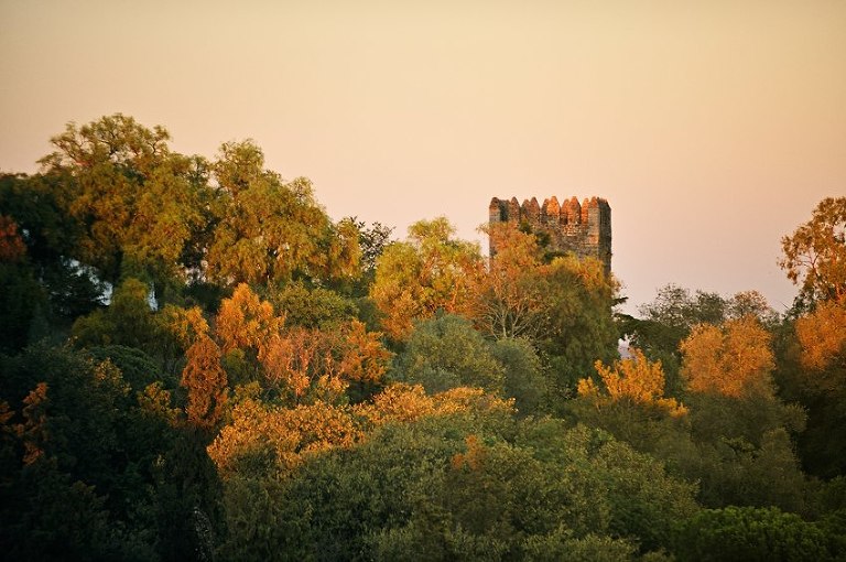 49 Casamento no Alentejo na igreja de Montemor e fotos de noivos no Castelo